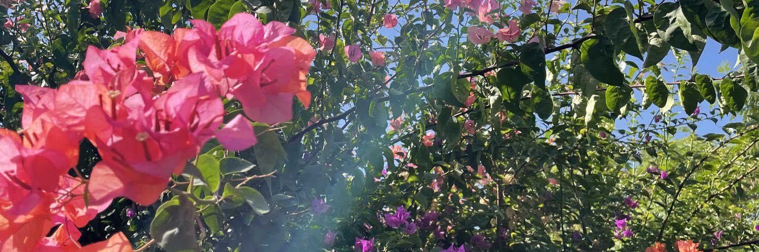 gokcyy's profile banner image