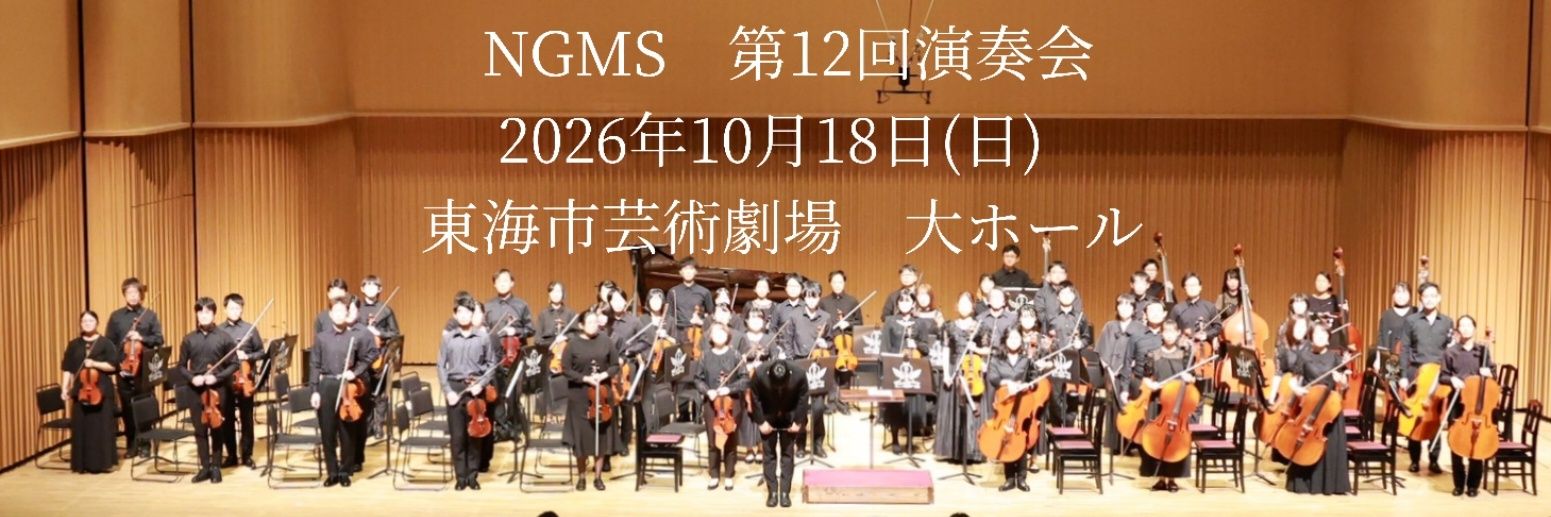 名古屋ゲームミュージックストリングス/NGMS banner