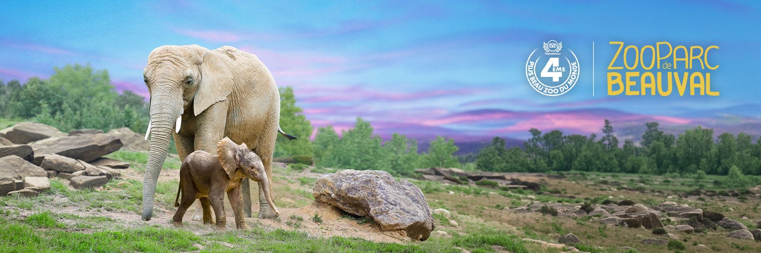 zoobeauval's profile banner image