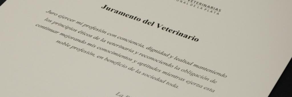 FCVUNLP's profile banner image