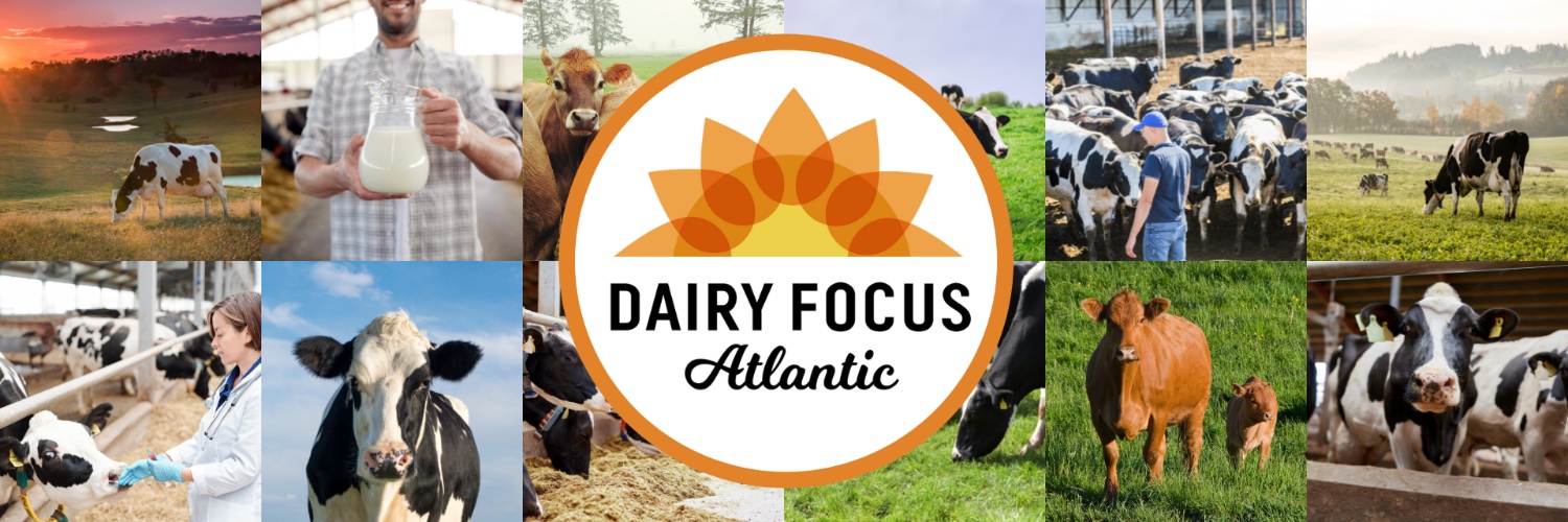 Dairy_Focus's profile banner image