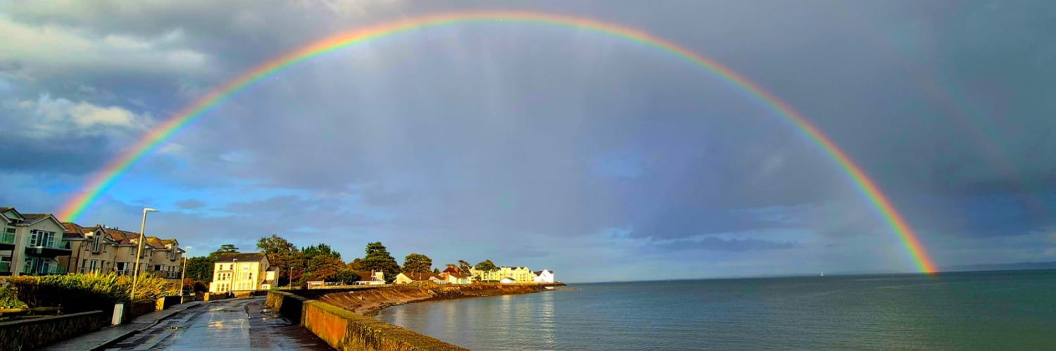 Rose Thorn 🌹🥀 banner