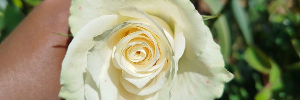 Wangui61 Profile Banner