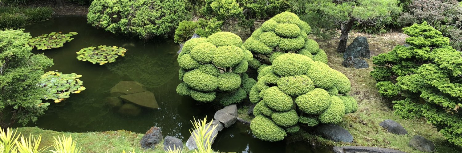 Louise Cimetta banner