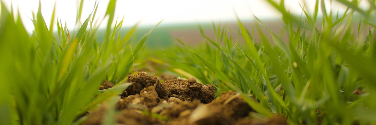 Morgane Carboni banner