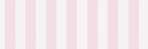 sakurapaws's profile banner image