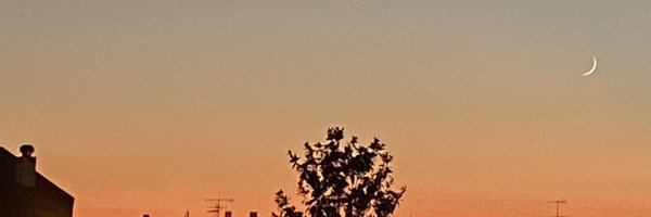 _una_tragedia Profile Banner