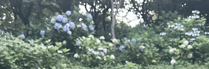 ❔❓'s banner