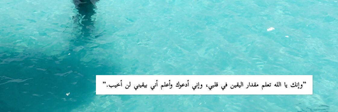 Amani AlSaab ᥫ᭡ banner