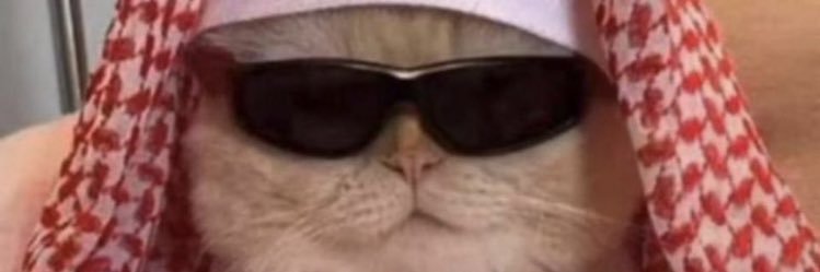 https_korxah's profile banner image