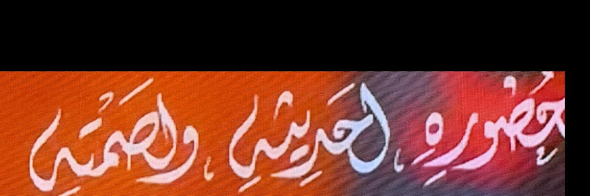 Carol Rizk's banner