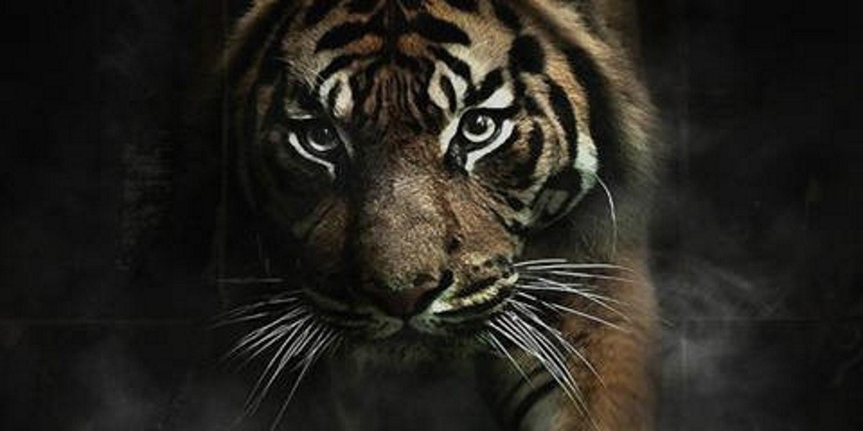 por_075's profile banner image