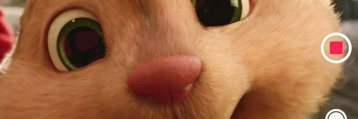 THEOOFFlClAL's profile banner image