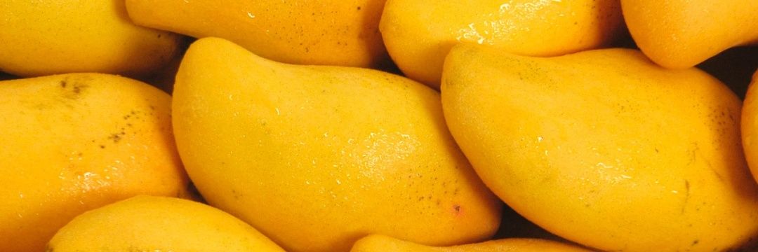 Mangoiess's profile banner image