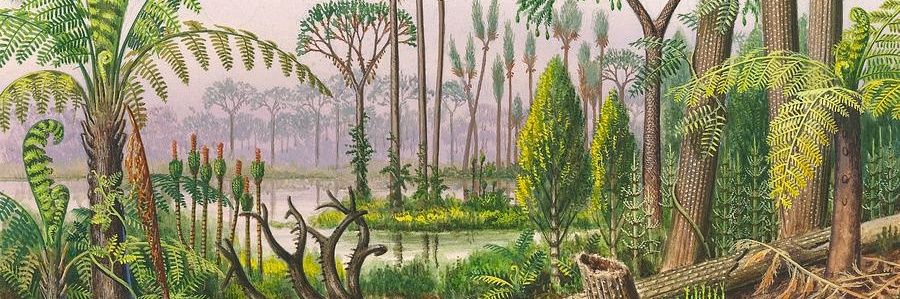 Alpine linguist banner