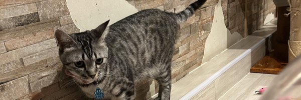 jipe33's profile banner image