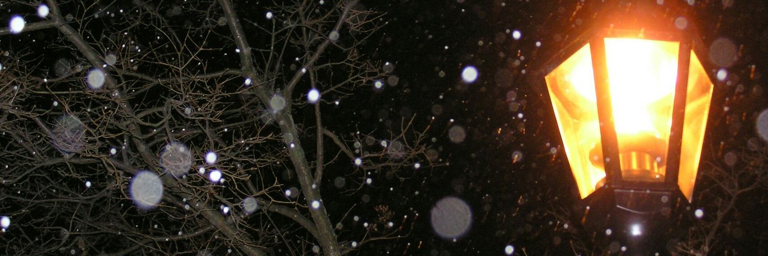 pliw_ss's profile banner image