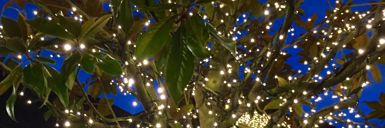annmfreeman's profile banner image