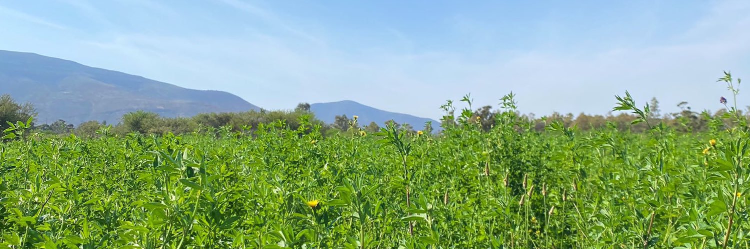 KatliMlambo's profile banner image
