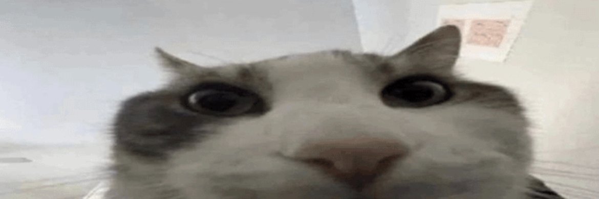 ExpiredLemons banner