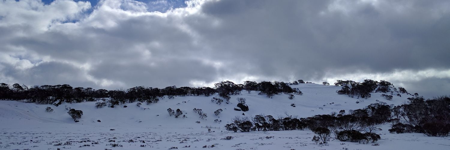 alokexe's profile banner image
