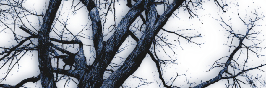 ݁ ‎ ‍ ♱⃓ ‎ ‍ ┊ ‎ ‍ 𝖕inec͟o͟ne ͡┈𝖋𝒂𝒄𝒆. banner