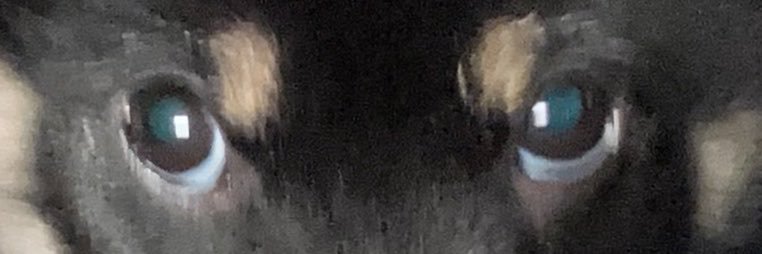 pokothin321's profile banner image