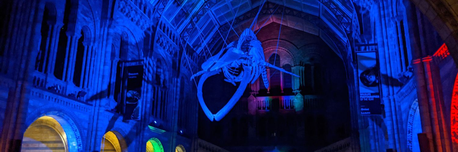 Mrs_Aylett's profile banner image