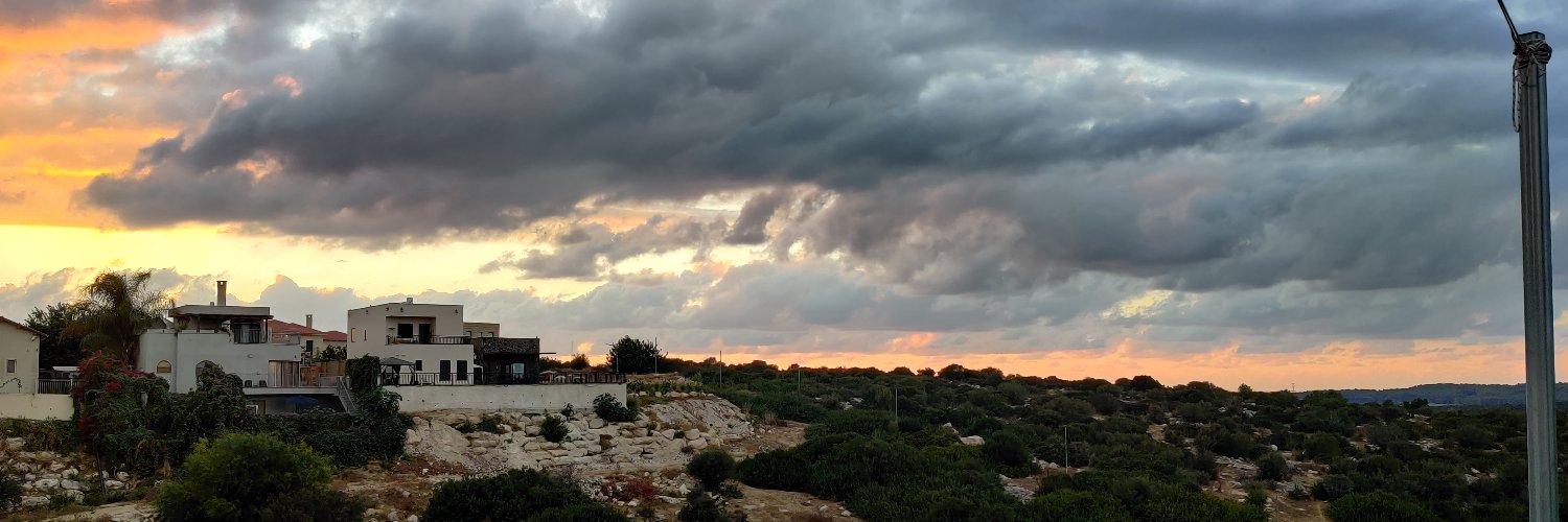 Michael Pinus banner