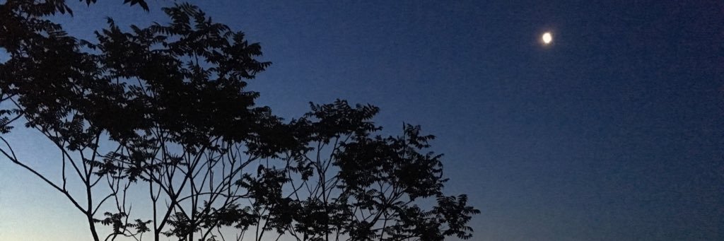 thatssoraiyah's profile banner image