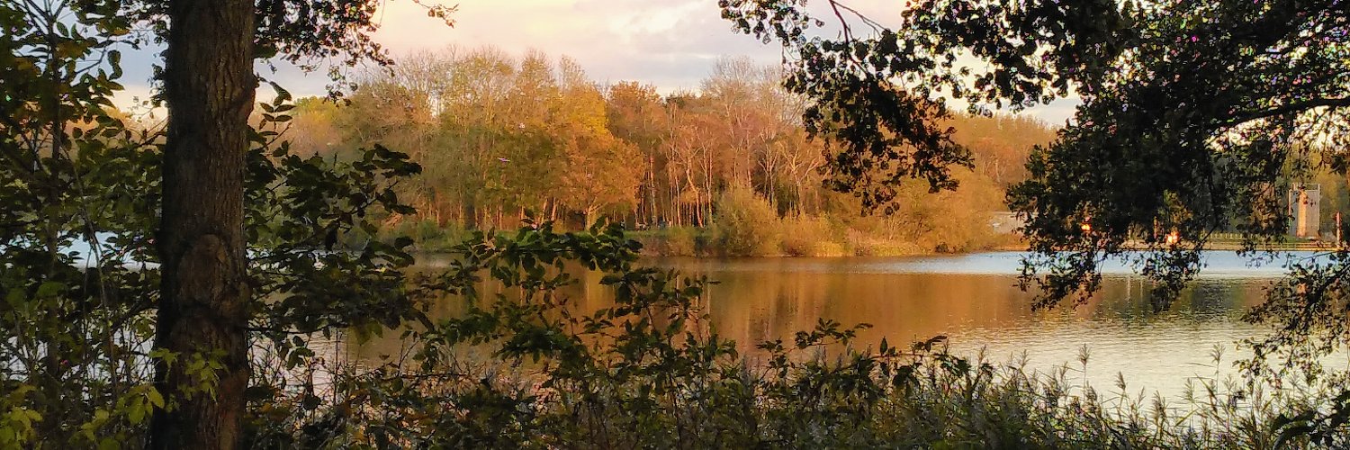 Pieter Maeseele banner