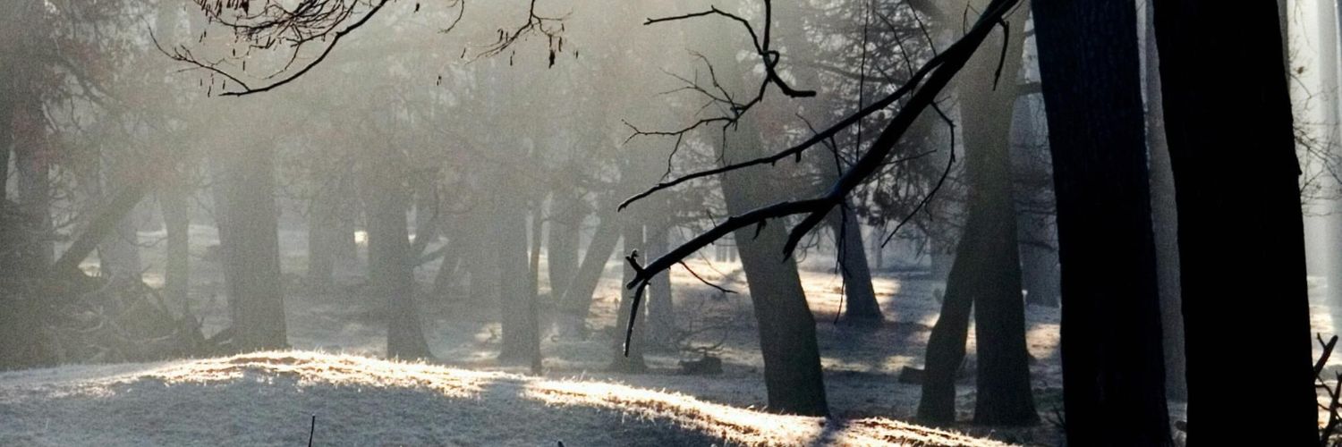 fikriefend's profile banner image