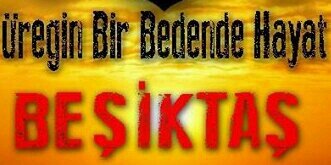 melankolimstf's profile banner image
