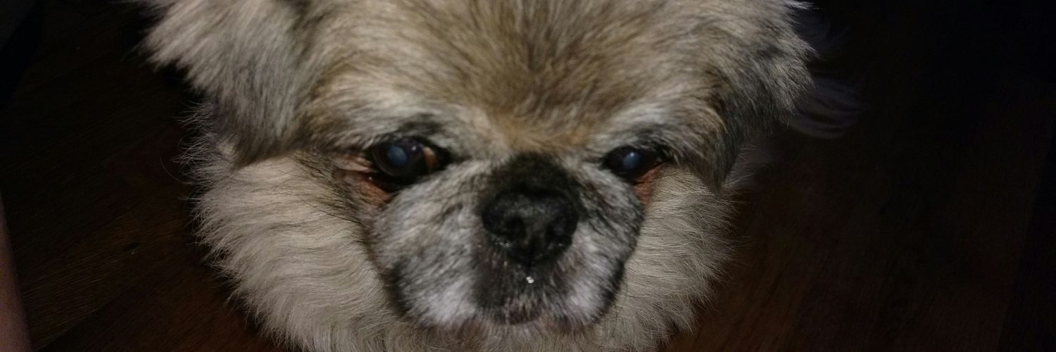 CBurke65's profile banner image