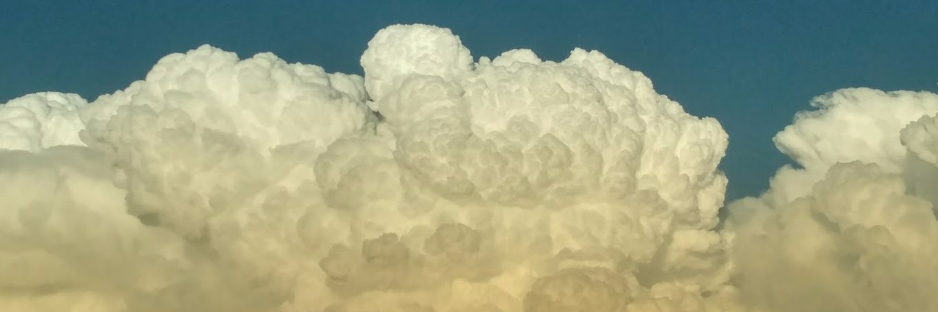 ttnut94's profile banner image