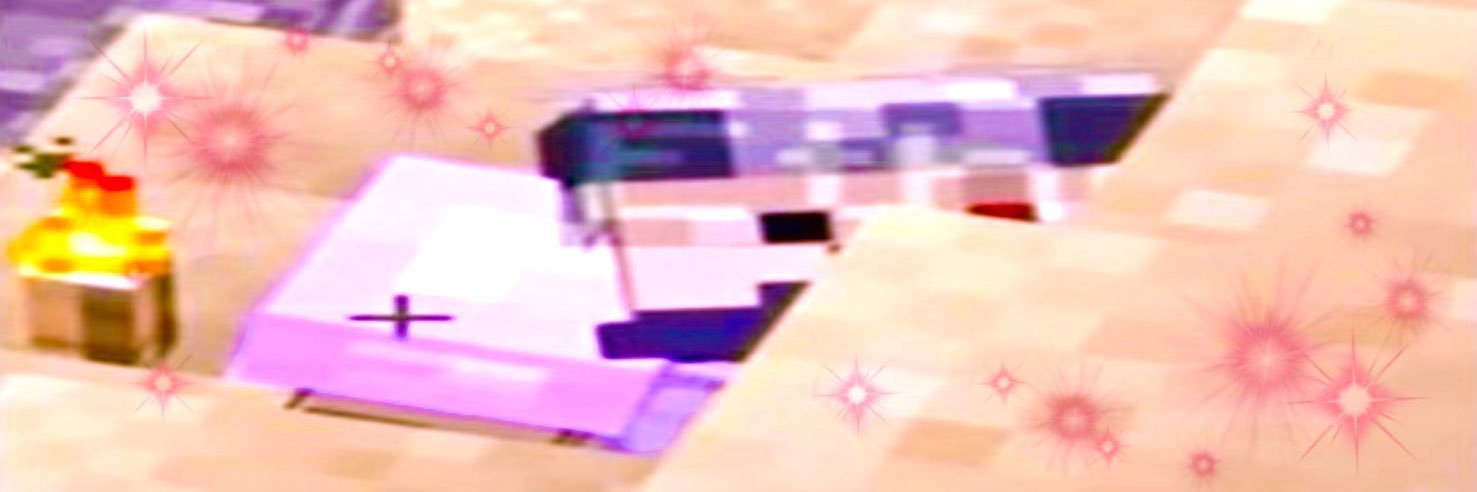 ruby's banner