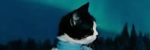 mmmmfatbitches Profile Banner