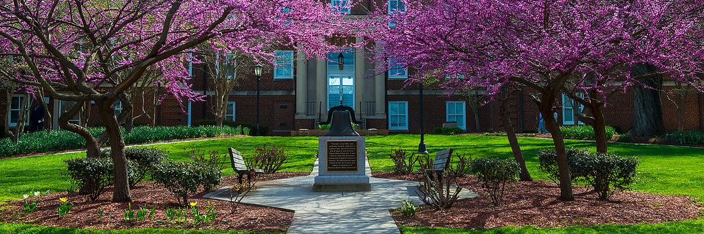 WSSUDofStudents's profile banner image