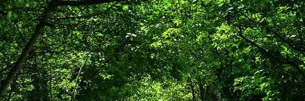MosesSubra29424's profile banner image