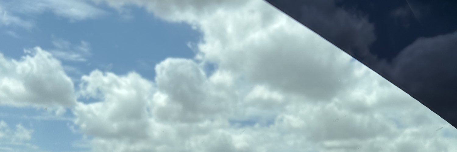 blusolj🩵 banner