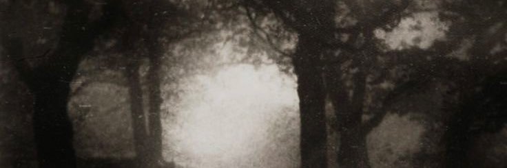 eden ♱ edtwt banner