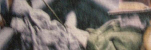 DavidMM446's profile banner image