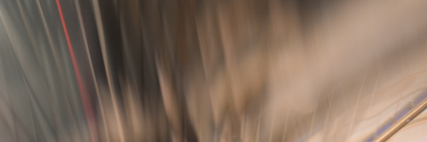 LaraHarp's profile banner image