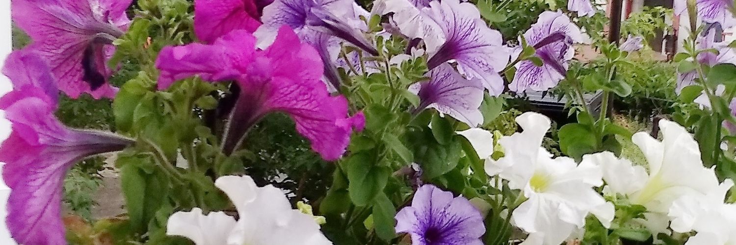 Nadezhda Evbatyrova banner