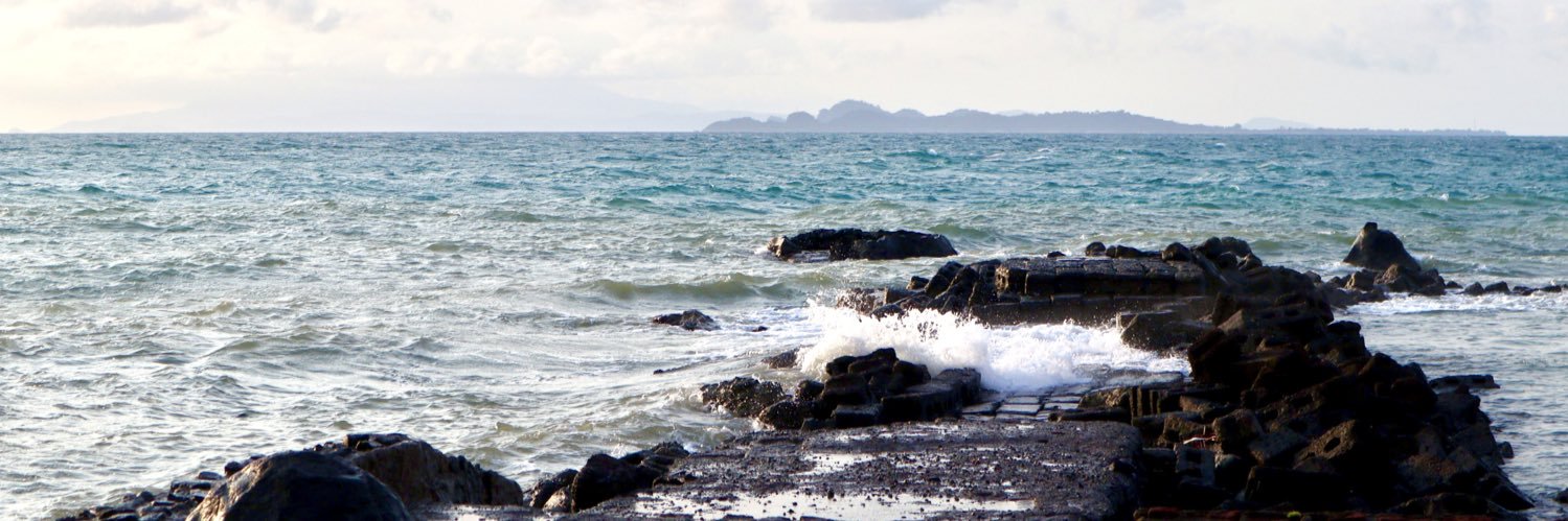 WIII - SHIA ⬇️ banner