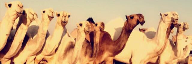 4Ea9j's profile banner image