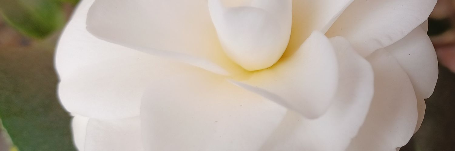 niobe1714's profile banner image