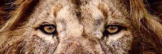 vrapcis's profile banner image