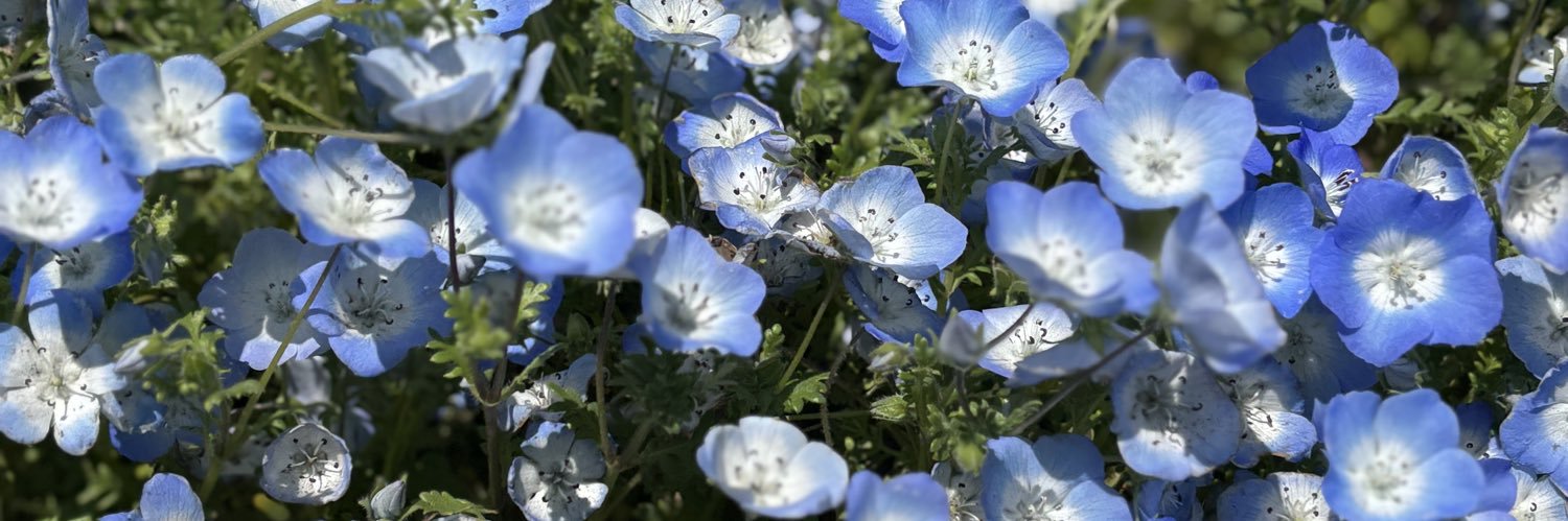 にゃこんぶ banner