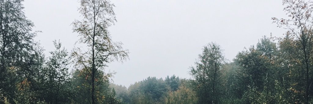 maiconsanson's profile banner image